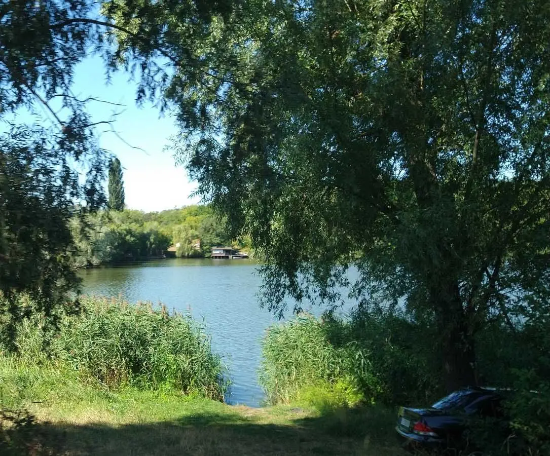 Фото Продаю дом, 40 кв. м, Мира ул.  Васильков, цена: 36500 USD, код 7864