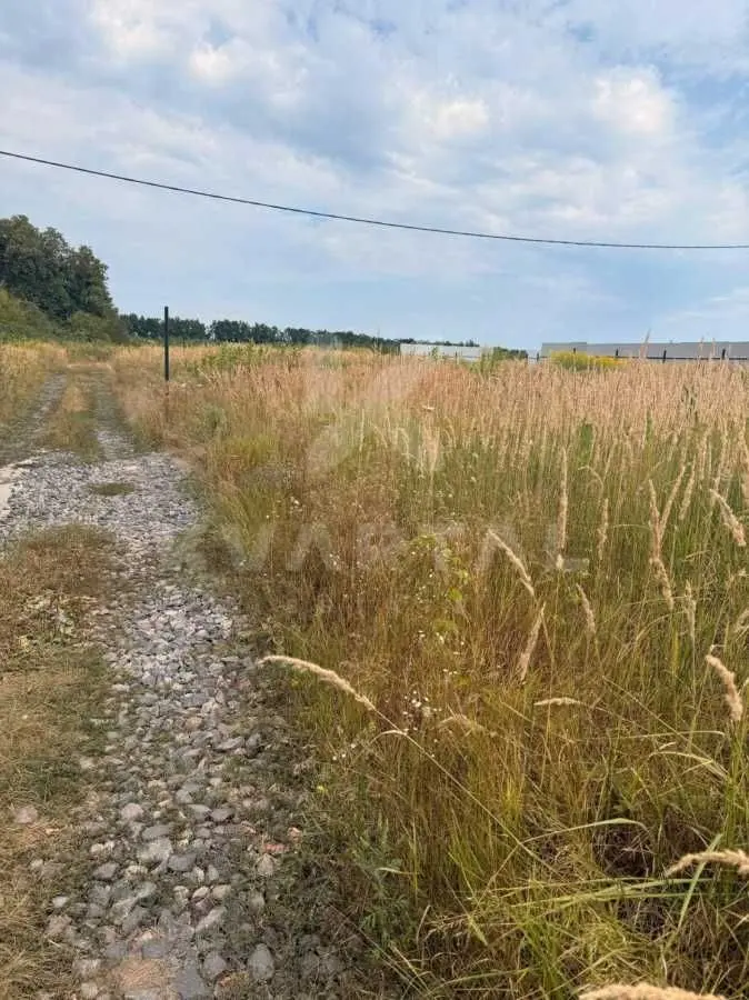 Фото Продаю земельный участок, Озёрная ул.  Горбовичі, цена: 17500 USD, код 7910