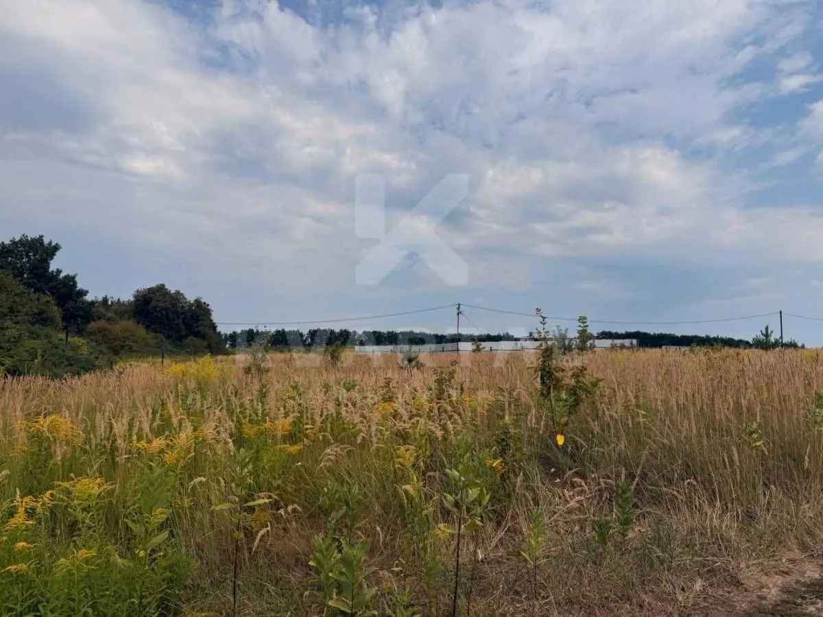 Фото Продаю земельный участок, Озёрная ул.  Горбовичі, цена: 17500 USD, код 7910