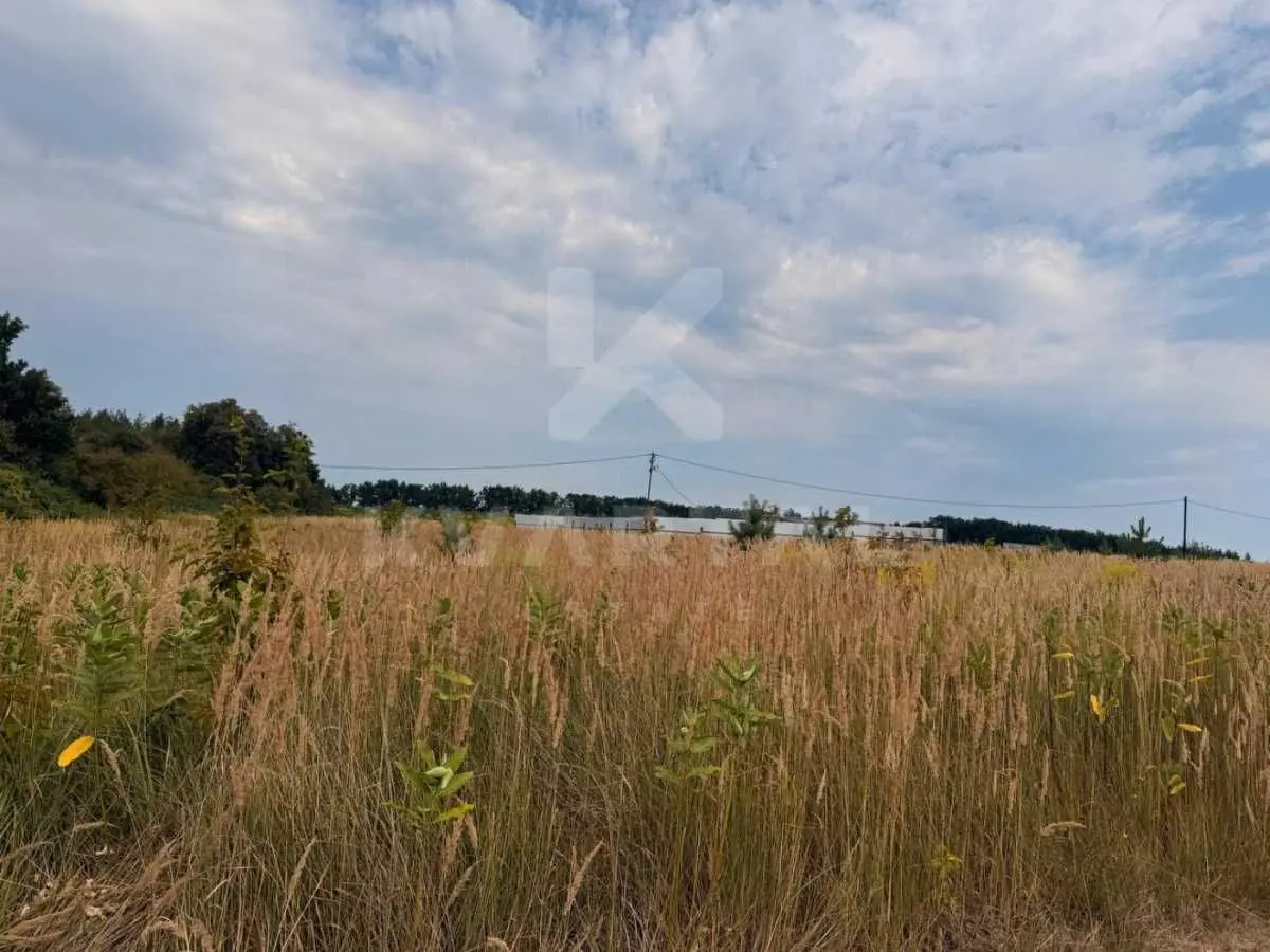 Фото Продаю земельный участок, Озёрная ул.  Горбовичі, цена: 17500 USD, код 7910