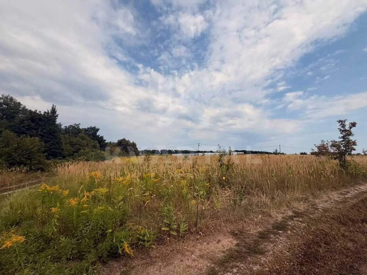 Фото Продаю земельный участок, Озёрная ул.  Горбовичі, цена: 17500 USD, код 7910