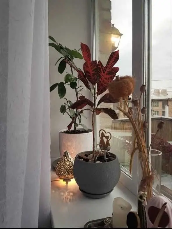 Фото Selling a 1-room apartment, 36.5 sq.m., Travneva Street  Kyiv, price: 48000 USD, code 7964