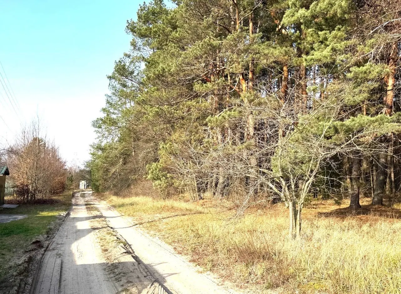 Фото Selling a house, 120 sq.m., Zdvyzhivka, price: 80000 $, code 7984