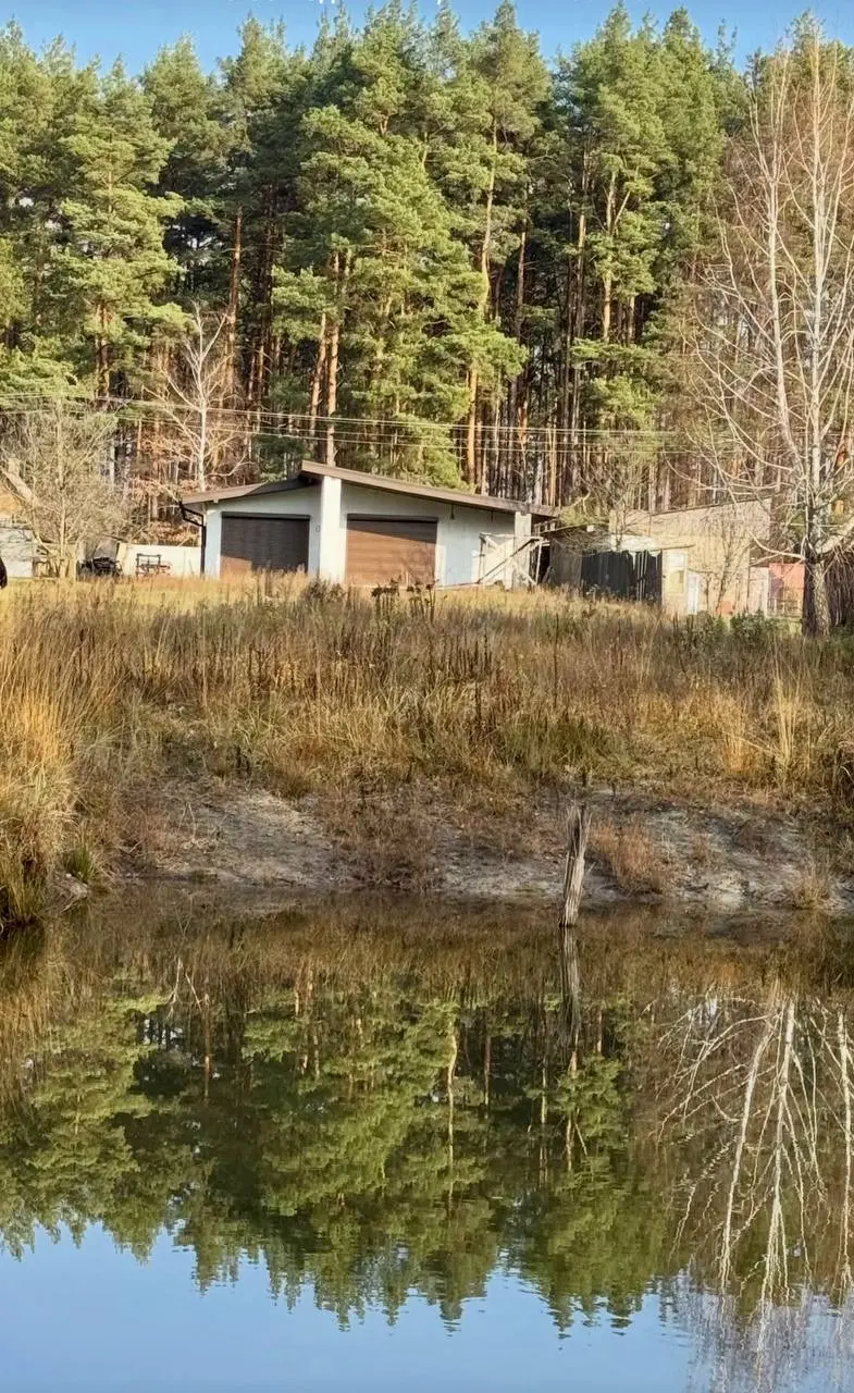Фото Selling a house, 120 sq.m., Zdvyzhivka, price: 80000 $, code 7984