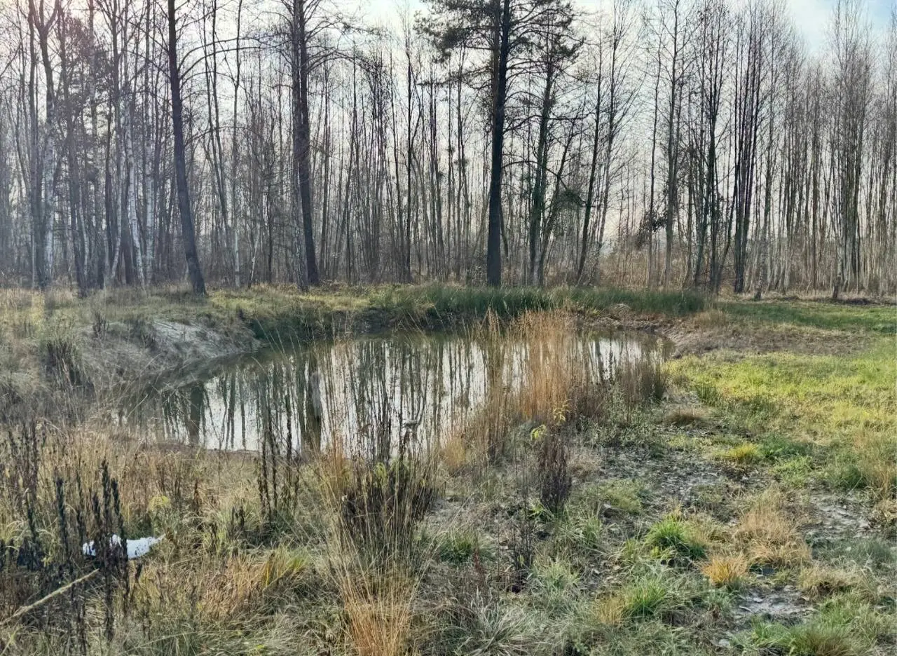 Фото Selling a house, 120 sq.m., Zdvyzhivka, price: 80000 $, code 7984