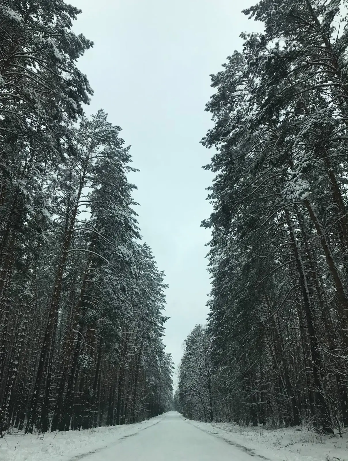 Фото Продаю дом, 134 кв. м, Гута-Межигірська, цена: 95 $, код 7986