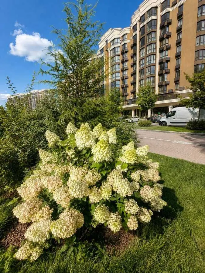 Фото Selling a 1-room apartment, 43.5 sq.m., Sofiivska Borschahivka, price: 123000 USD, code 8031