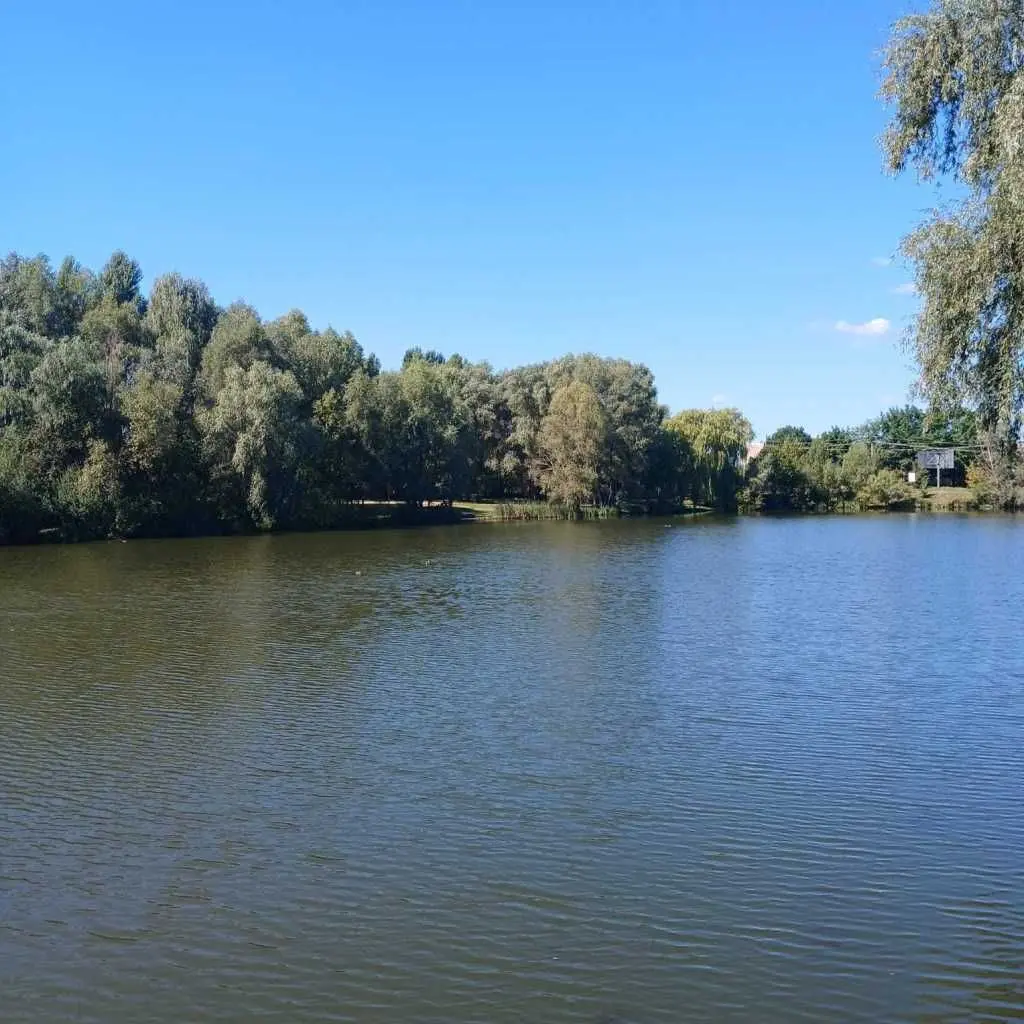 Фото Продаю 2 кімнатну квартиру, 49.5 кв. м, Шевченкове, ціна: 42000 USD, код 8085