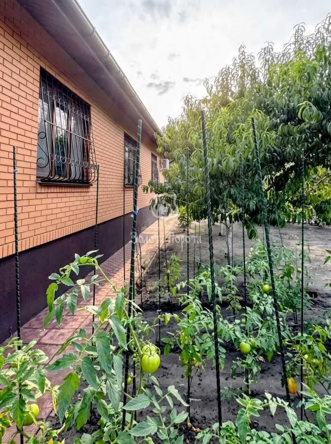 Фото Selling a house, 136.7 sq.m., Protsiv, price: 260000 USD, code 8155