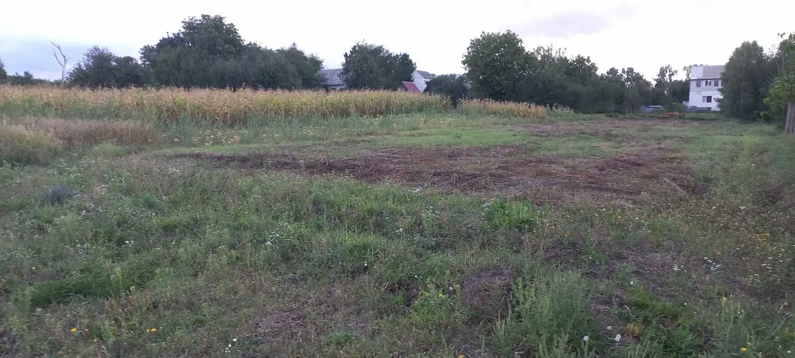Фото Продаю земельну ділянку, Миколи Леонтовича пров. (Толстого)  Буча, ціна: 40500 USD, код 8169