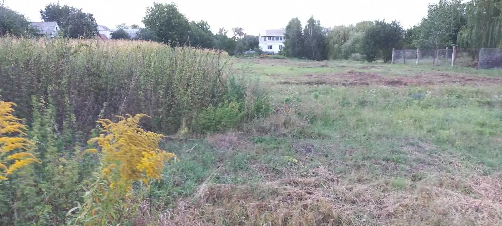 Фото Продаю земельну ділянку, Миколи Леонтовича пров. (Толстого)  Буча, ціна: 40500 USD, код 8169