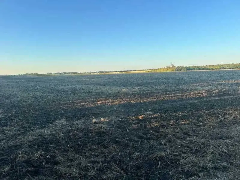 Фото Продаю земельну ділянку, Нова вул.  Підгородне, ціна: 3410000 UAH, код 8173