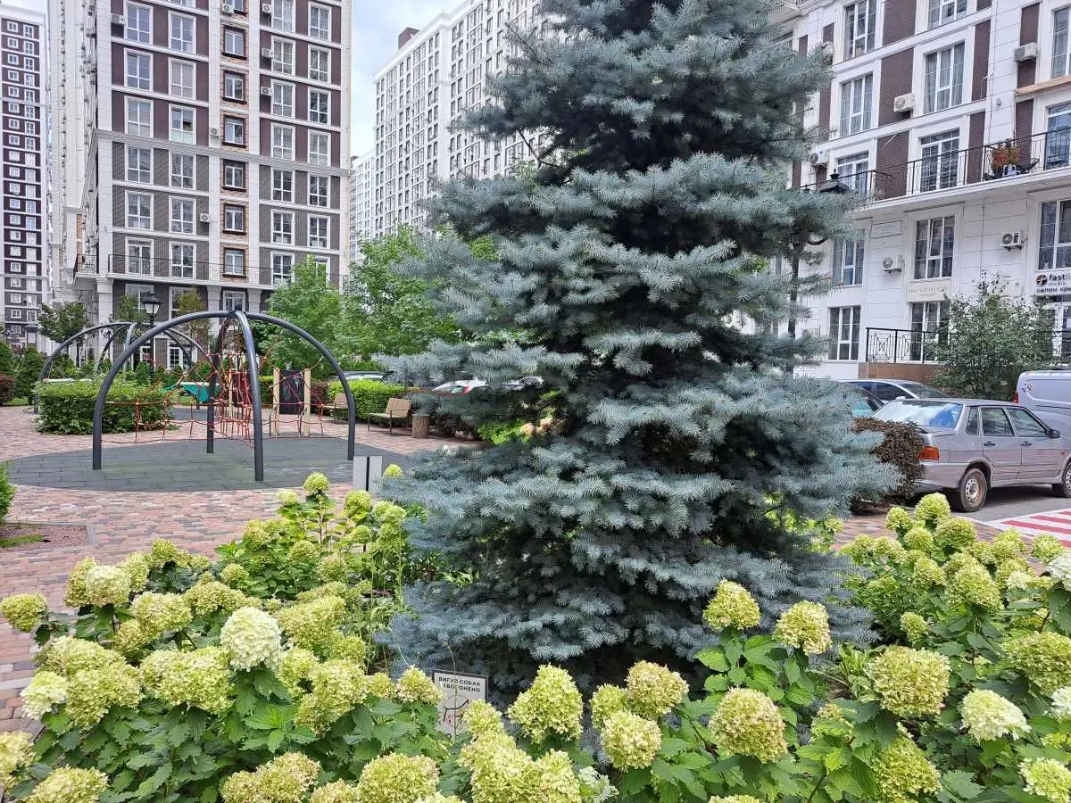 Фото Rent a 1-room apartment, Mykhaila Maksymovycha Street (Onufriia Trutenka Street)  Kyiv for long-term rent, price: 16900 UAH, code 8281