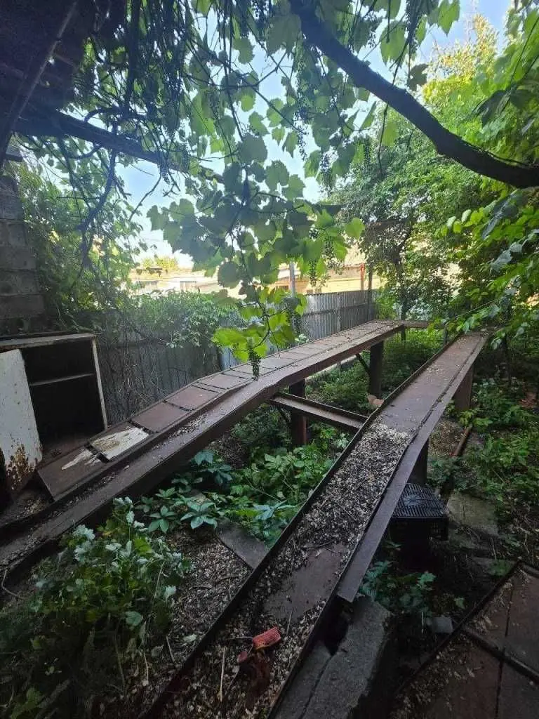 Фото Продаю будинок, 66 кв. м, Соборна вул.  Васильків, ціна: 37000 EUR, код 8299