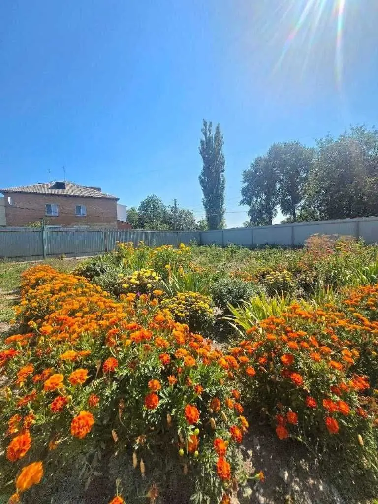 Фото Продаю 1 кімнатну квартиру, 35 кв. м, Гребінки, ціна: 25000 USD, код 8303