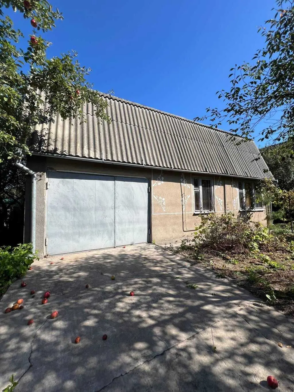 Фото Продаю будинок, 90 кв. м, Кожухівка, ціна: 30000 USD, код 8377