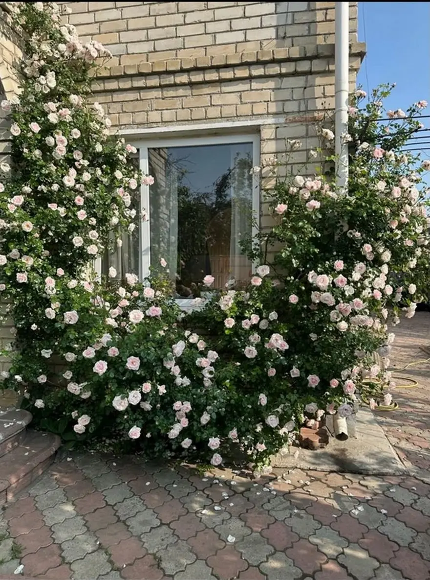 Фото Продаю будинок, 140 кв. м, Кольцовська вул.  Харків, ціна: 90000 $, код 888