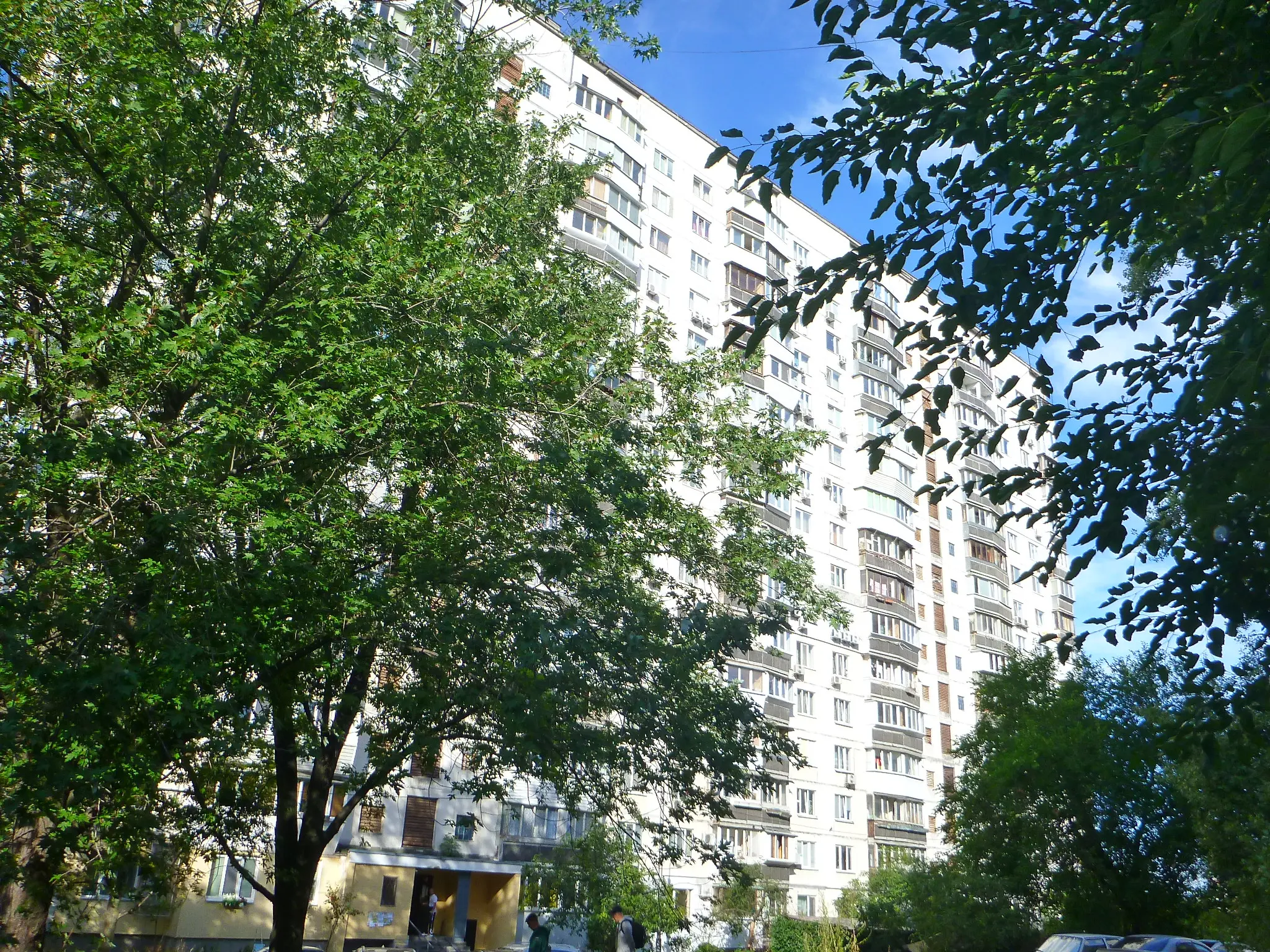 Фото Selling a 2-room apartment, 44 sq.m., Panteleimona Kulisha Street (Cheliabinska Street) 15 Kyiv, price: 72000 $, code 8549