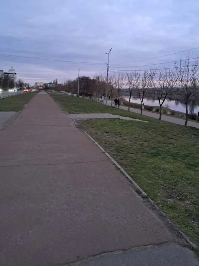 Фото Зняти 1 кімнатну квартиру, Райдужна вул. 13в Київ в довгострокову оренду, ціна: 8800 UAH, код 8581