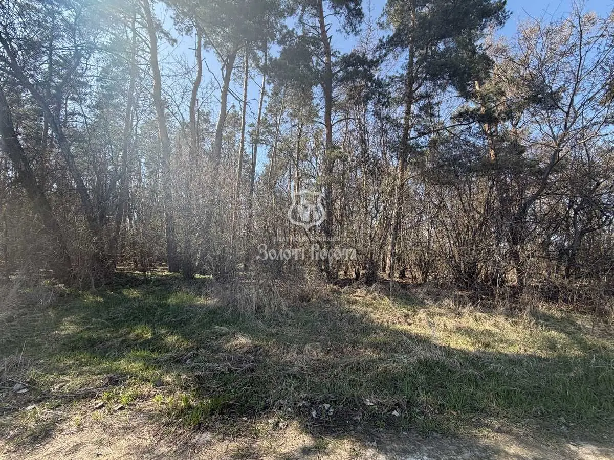 Фото Продаю земельну ділянку, Нагірна вул.  Гатне, ціна: 350000 USD, код 8650