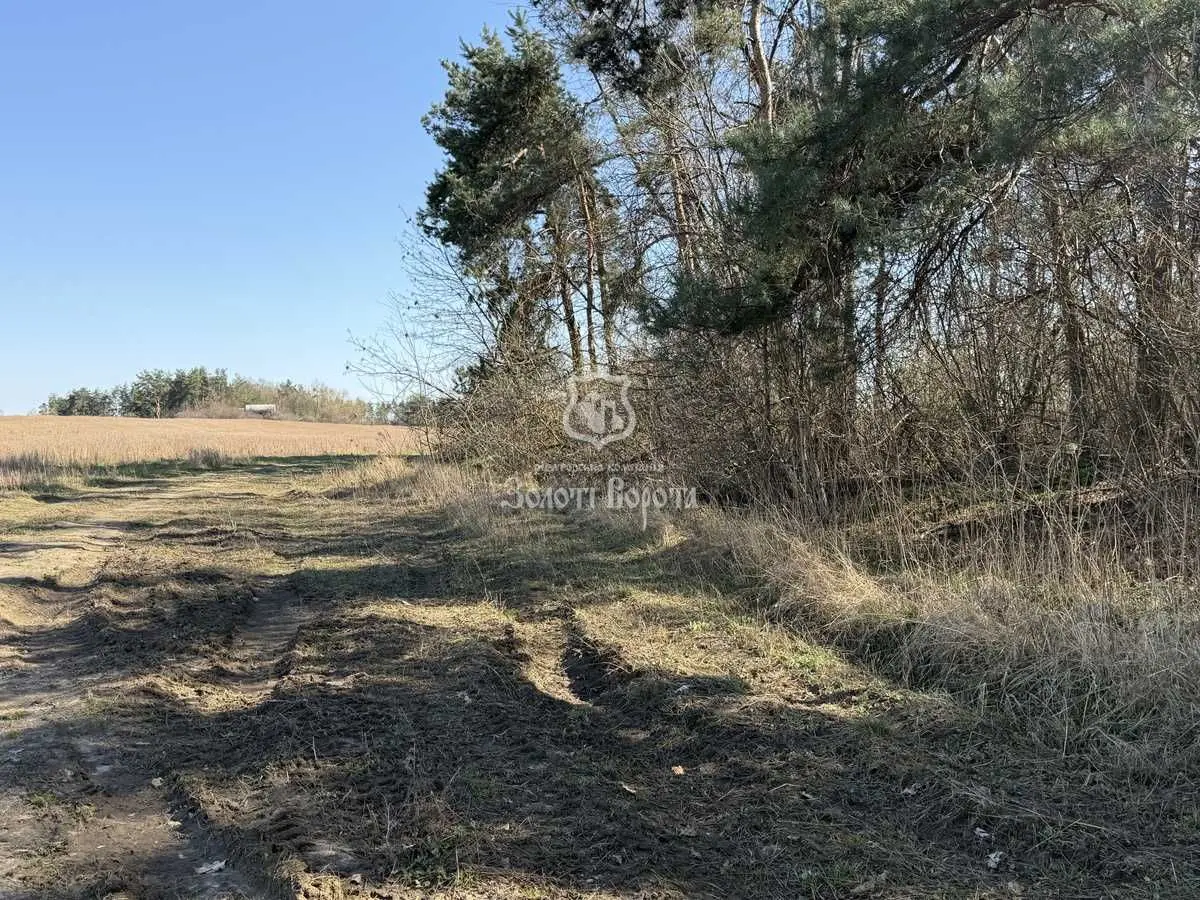 Фото Продаю земельну ділянку, Нагірна вул.  Гатне, ціна: 350000 USD, код 8650