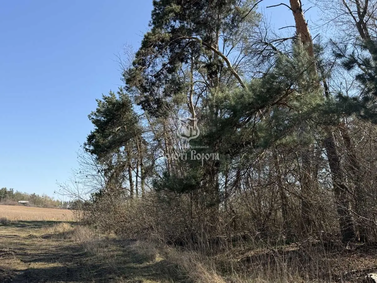 Фото Продаю земельну ділянку, Нагірна вул.  Гатне, ціна: 350000 USD, код 8650