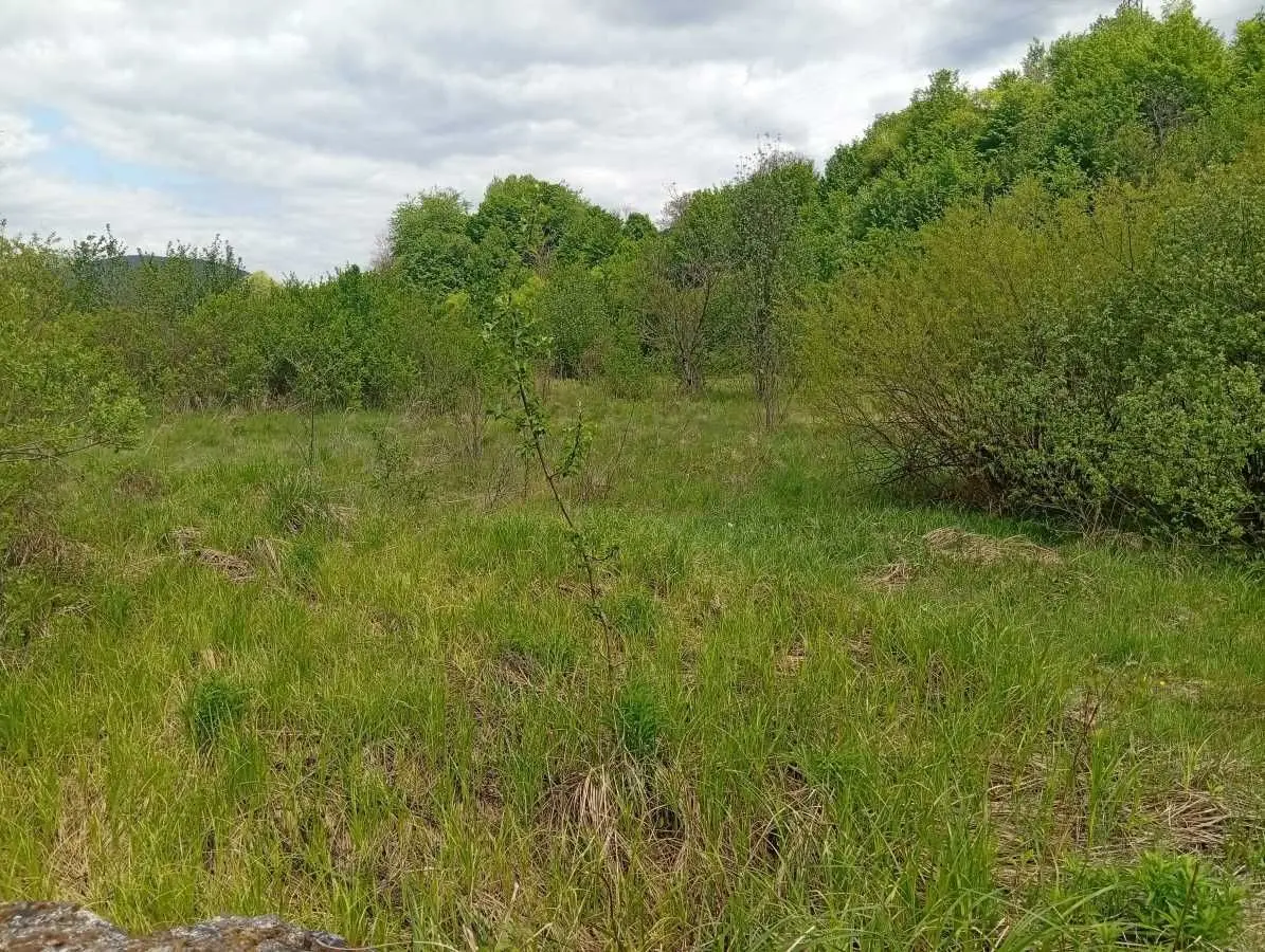 Фото Продаю земельный участок, Нелепино, цена: 989 USD, код 8660
