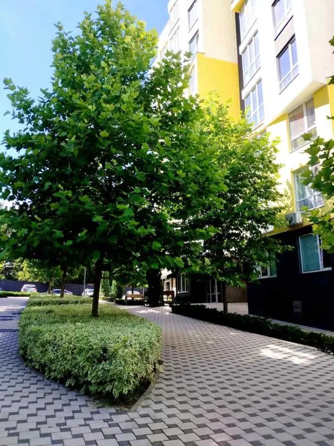 Фото Selling a 1-room apartment, 42 sq.m., Hryhoriya Skovorody street  Irpin, price: 82000 USD, code 8689