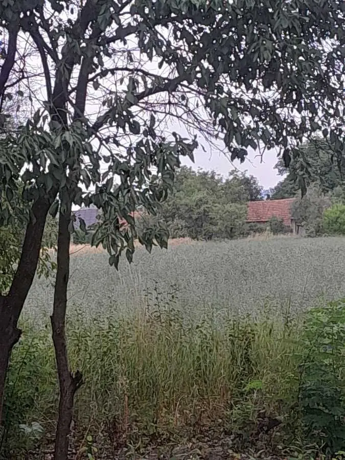 Фото Selling a land plot, Chervenovo, price: 500 USD, code 8778