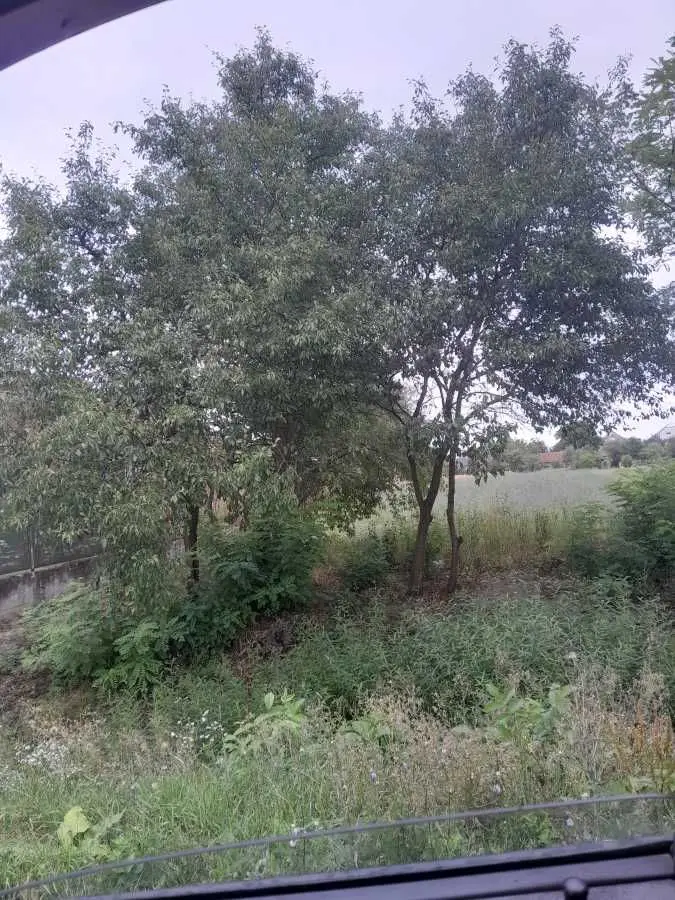 Фото Selling a land plot, Chervenovo, price: 500 USD, code 8778