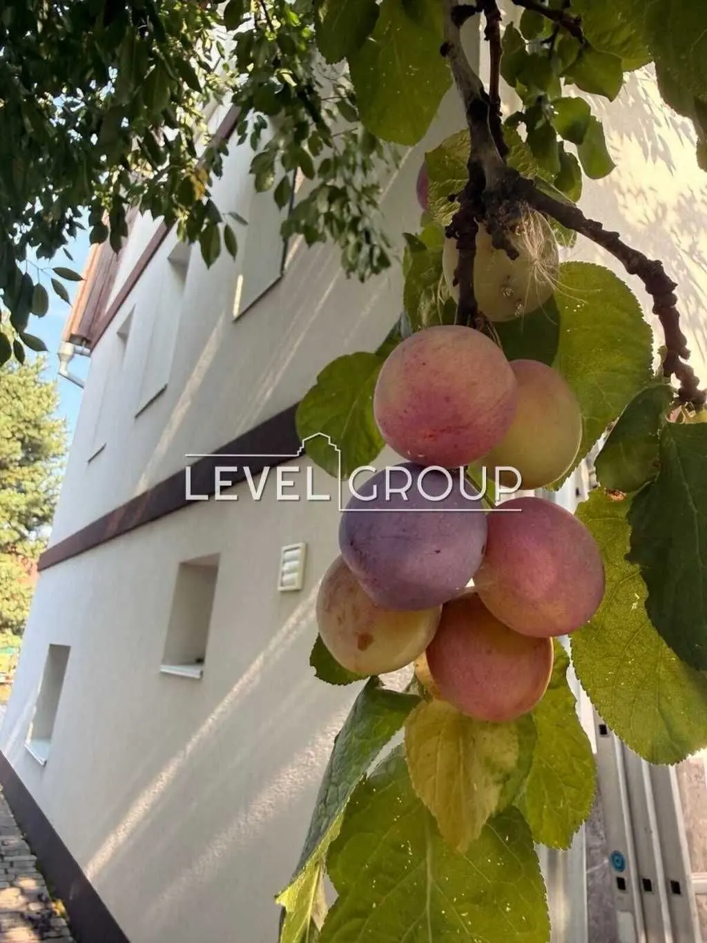 Фото Продаю будинок, 135 кв. м, Хотянівка, ціна: 85000 USD, код 8795