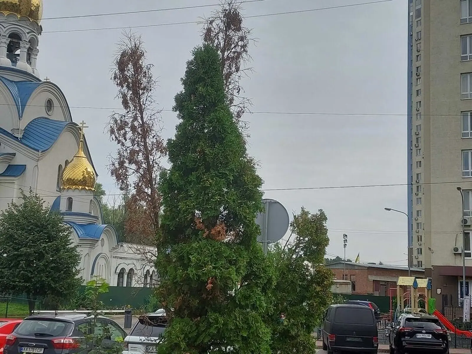 Фото Продаю 2 кімнатну квартиру, 49 кв. м, Академіка Глушкова просп. 9г Київ, ціна: 95000 $, код 8839