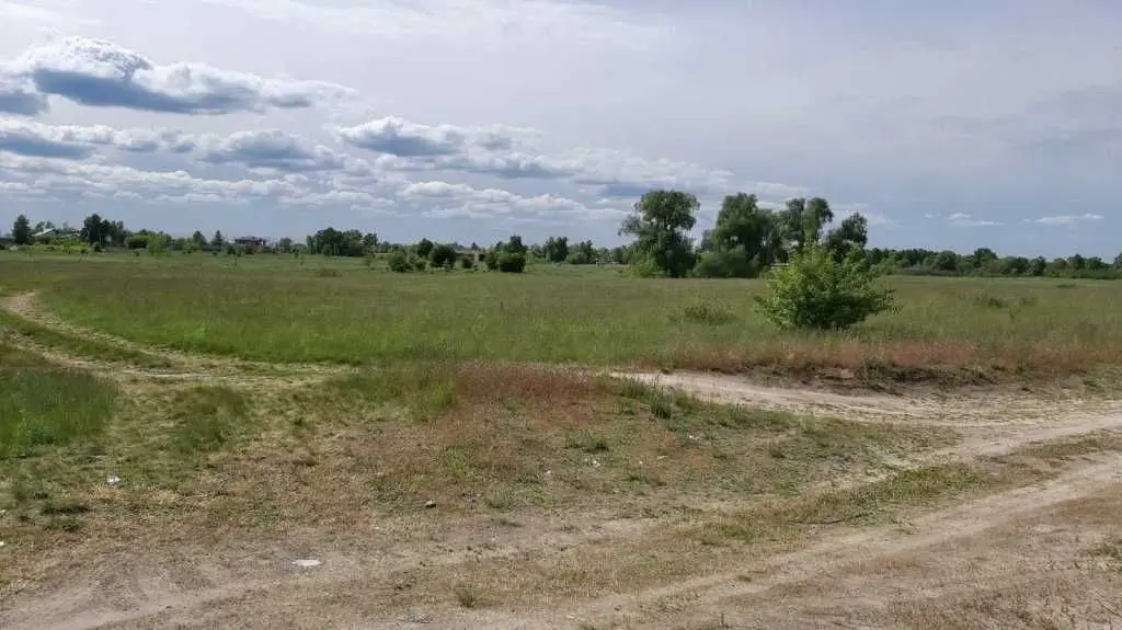 Фото Продаю земельну ділянку, Іванковичі, ціна: 3200 USD, код 8886