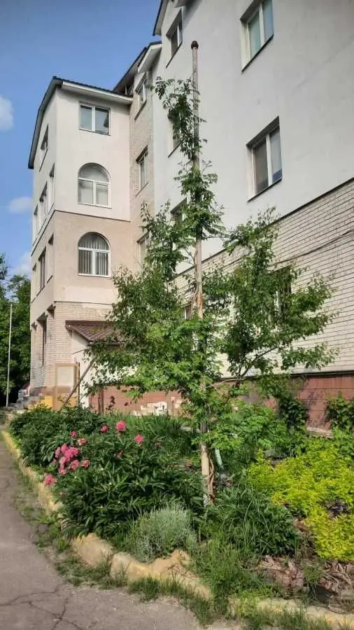 Фото Продаю 2-комнатную квартиру, 63 кв. м, Рожівка, цена: 48000 USD, код 8911