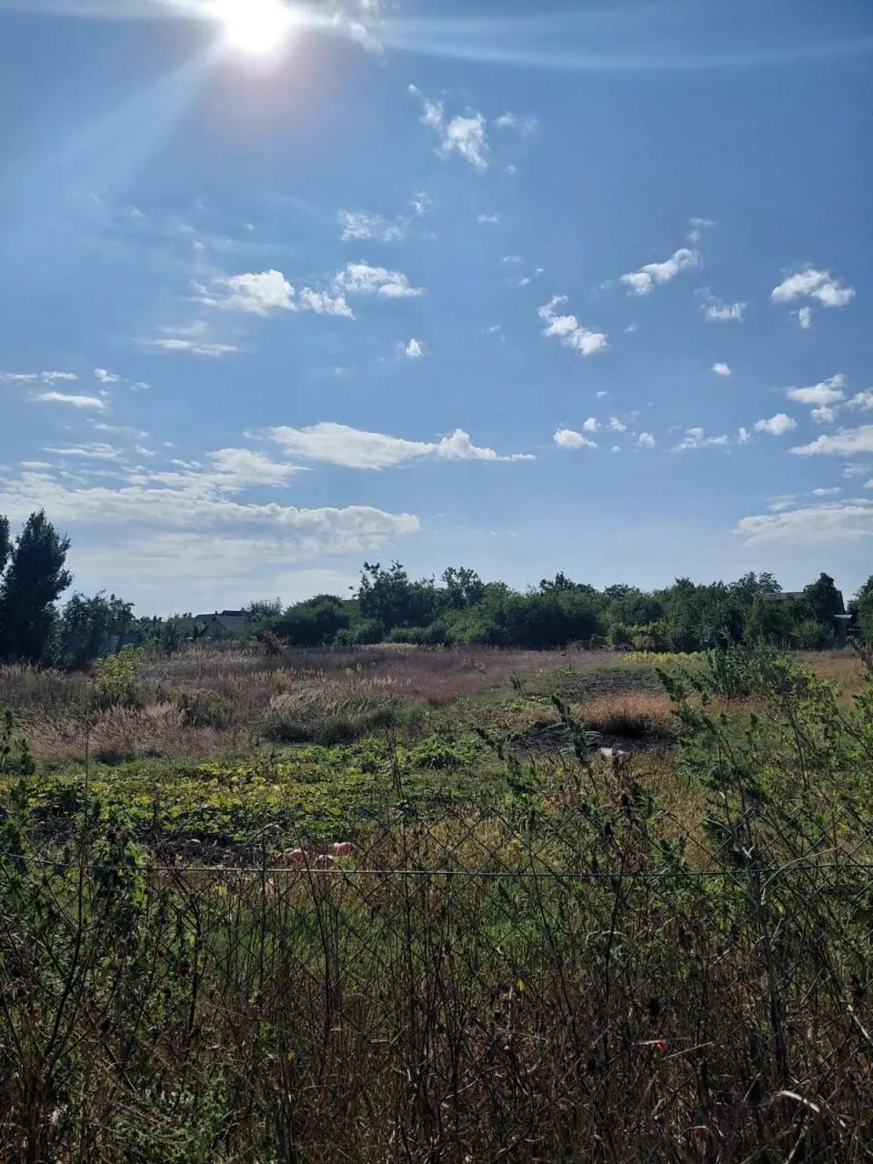Фото Selling a land plot, Luhovyi lane  Oseschyna, price: 100000 $, code 8931