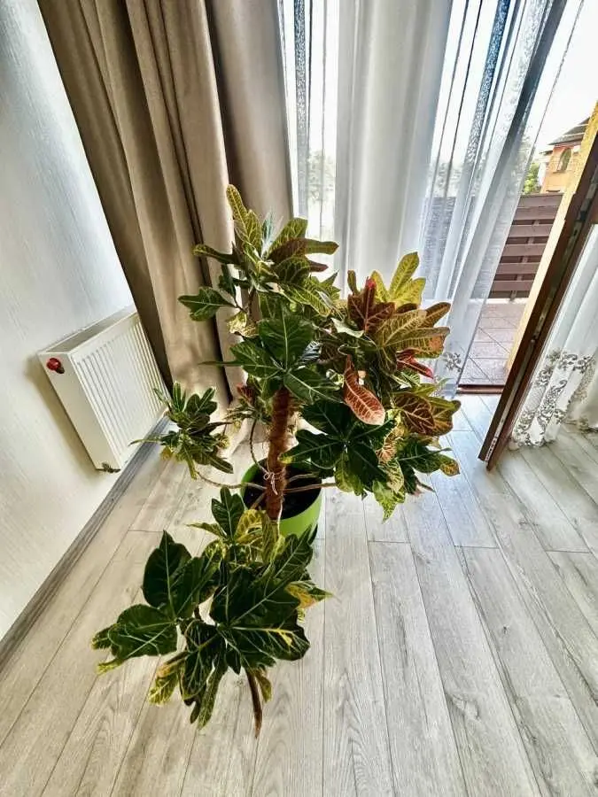 Фото Продаю будинок, 147 кв. м, Центральна Садова вул.  Київ, ціна: 185000 USD, код 8965
