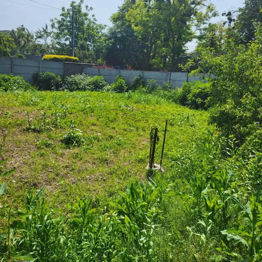 Фото Снять дом, Мархалівка в долгосрочную аренду, цена: 25000 UAH, код 8968
