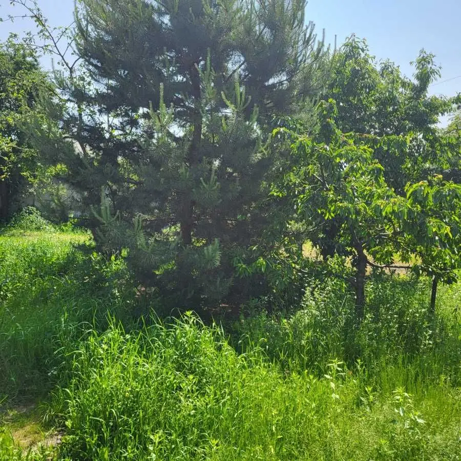 Фото Снять дом, Мархалівка в долгосрочную аренду, цена: 25000 UAH, код 8968