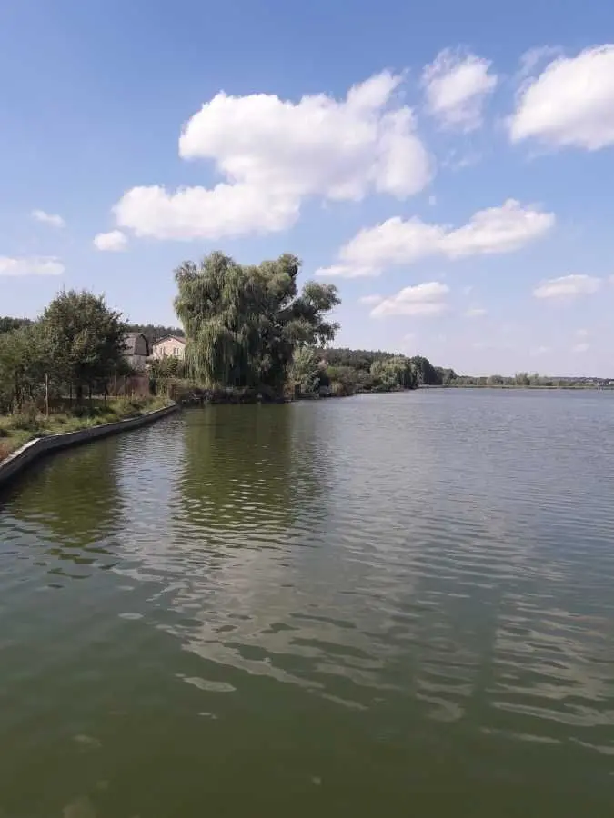 Фото Продаю земельну ділянку, Шевченка вул.  Юрівка, ціна: 4500 USD, код 8970