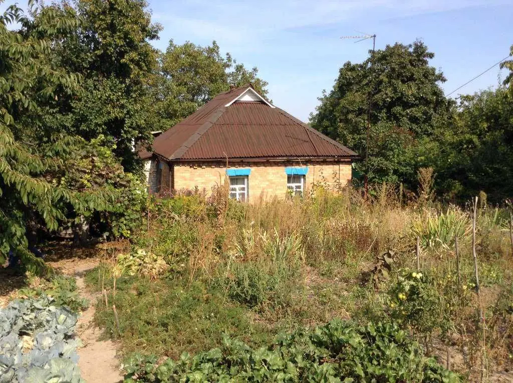 Фото Продаю земельну ділянку, Підгірці, ціна: 2000 USD, код 8974