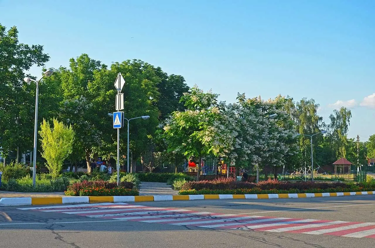Фото Продаю земельну ділянку, Підгірці, ціна: 2000 USD, код 8974