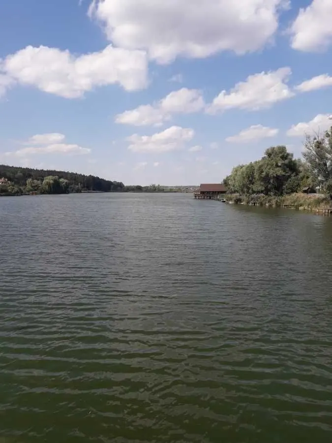 Фото Продаю земельну ділянку, Вітянська вул.  Віта-Поштова, ціна: 5000 USD, код 8975