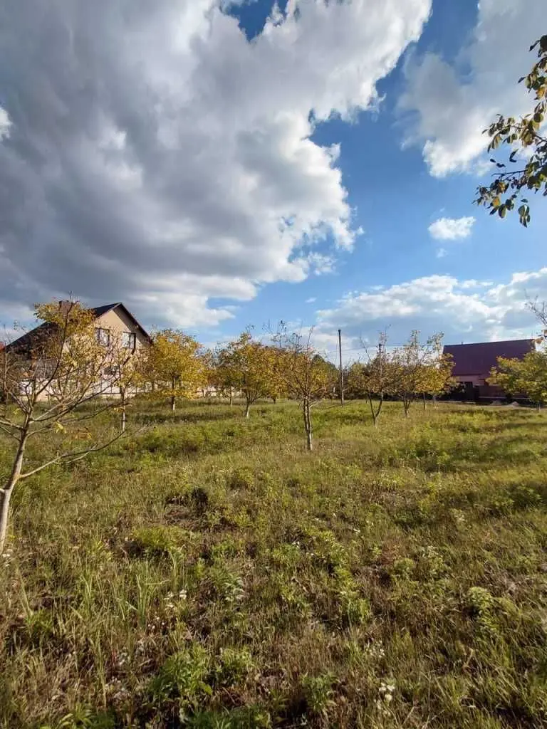 Фото Продаю земельну ділянку, Боголюби, ціна: 26000 USD, код 9018