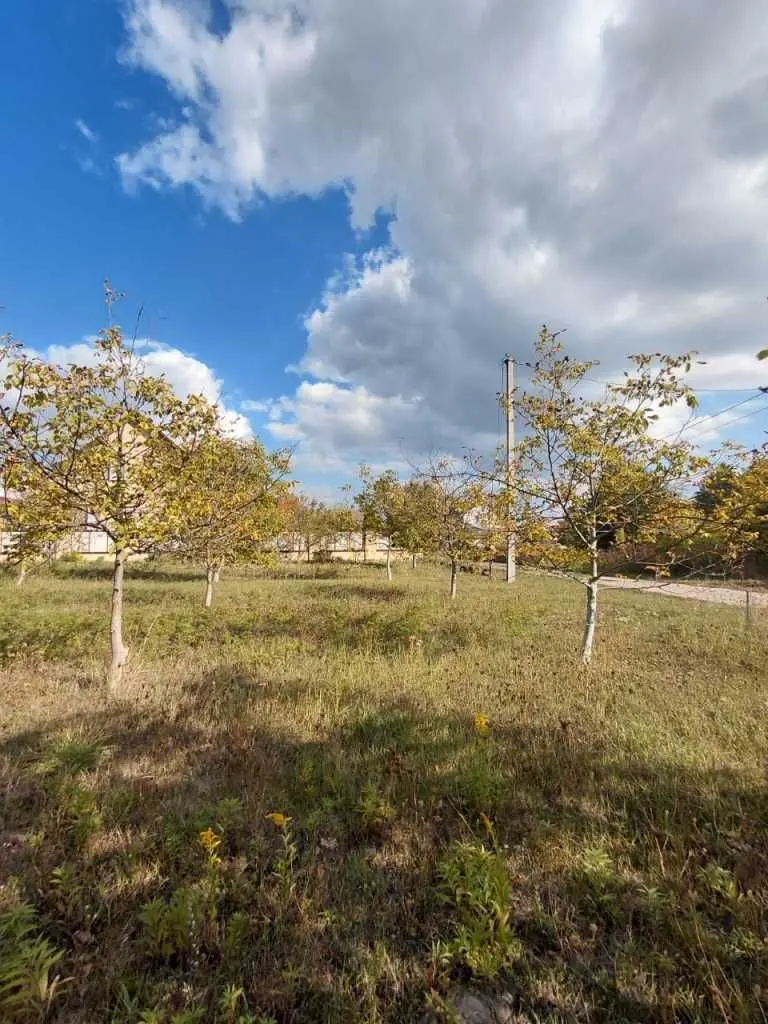 Фото Продаю земельну ділянку, Боголюби, ціна: 26000 USD, код 9018