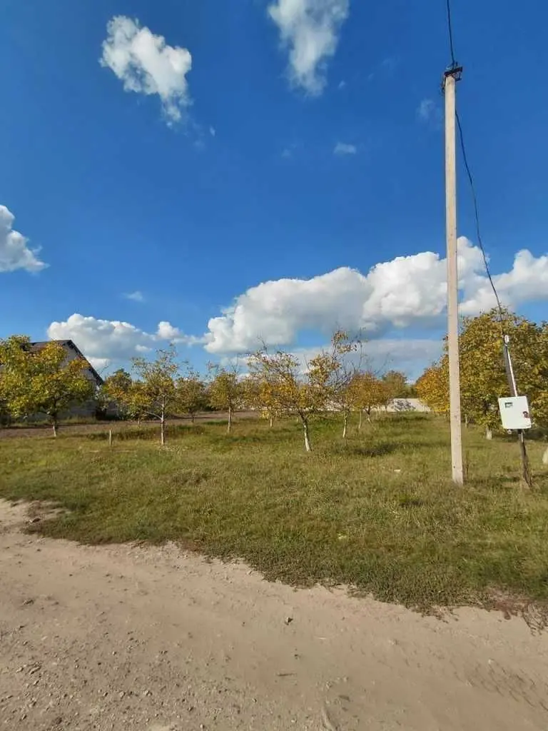Фото Продаю земельну ділянку, Боголюби, ціна: 26000 USD, код 9018