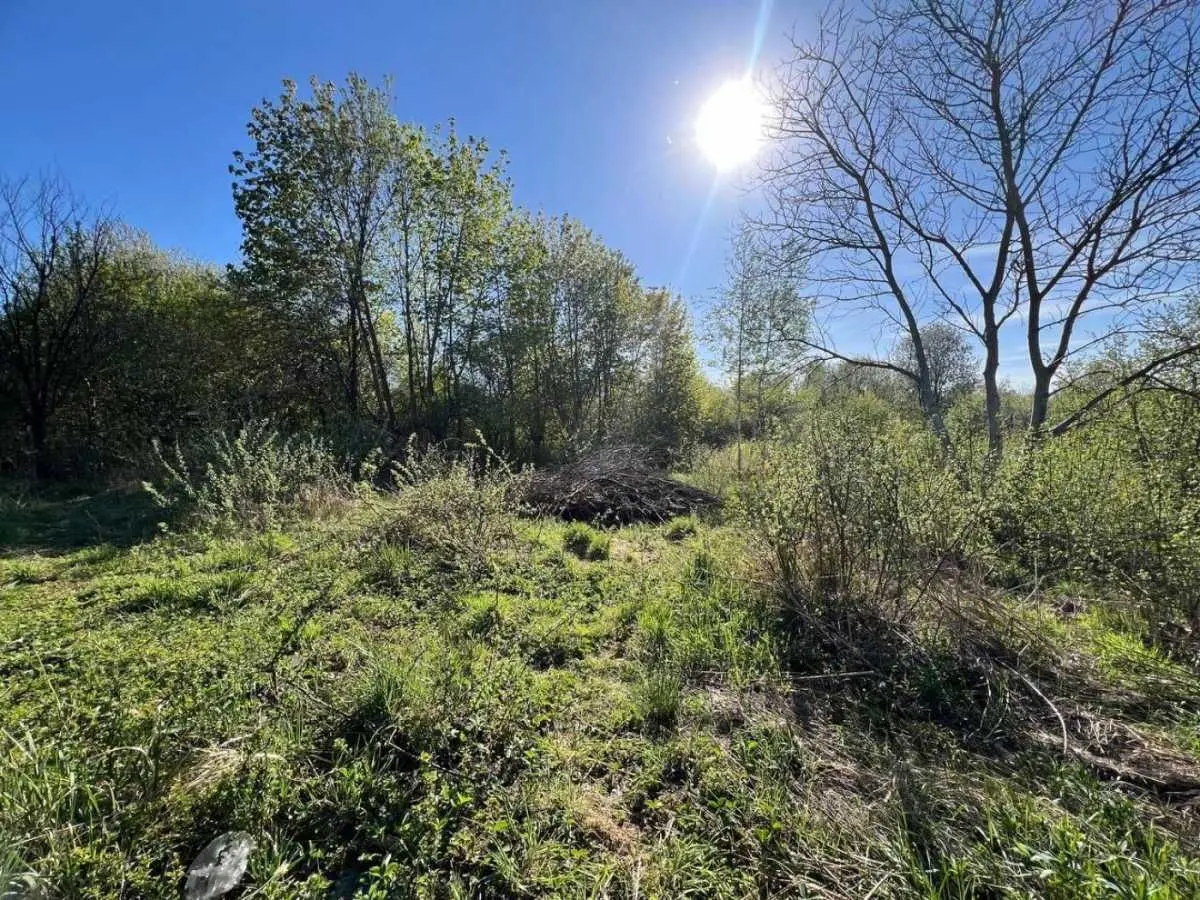 Фото Selling a land plot, Sokilnyky, price: 18500 USD, code 9034