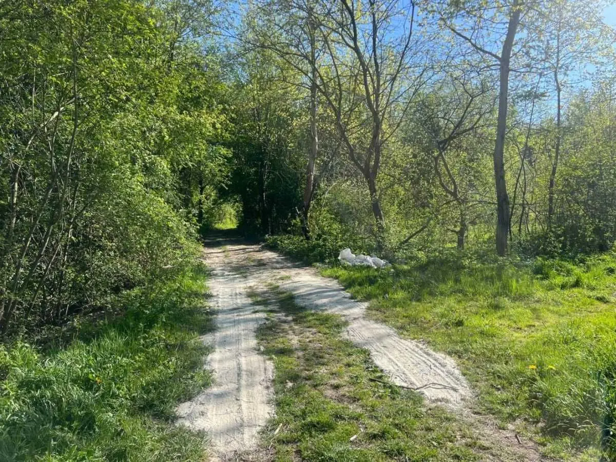 Фото Selling a land plot, Sokilnyky, price: 18500 USD, code 9034