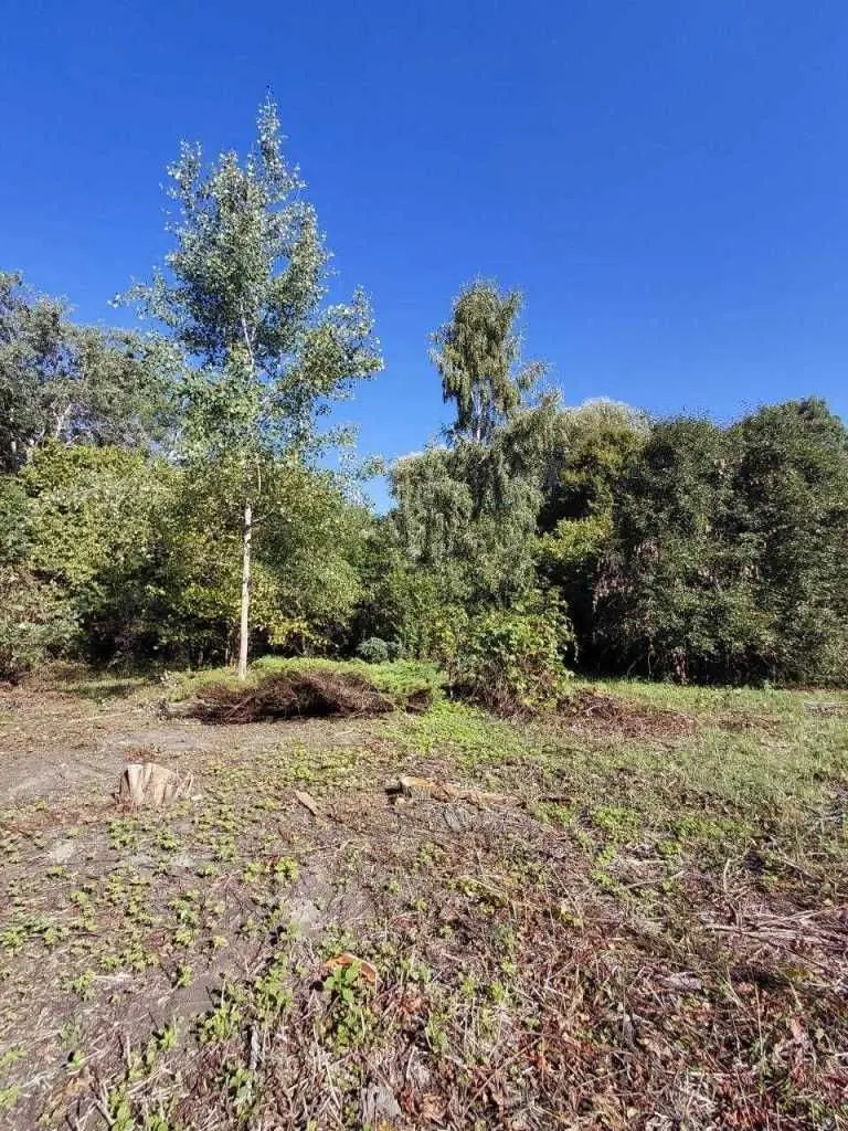Фото Продаю земельну ділянку, Гаразджа, ціна: 35000 USD, код 9119