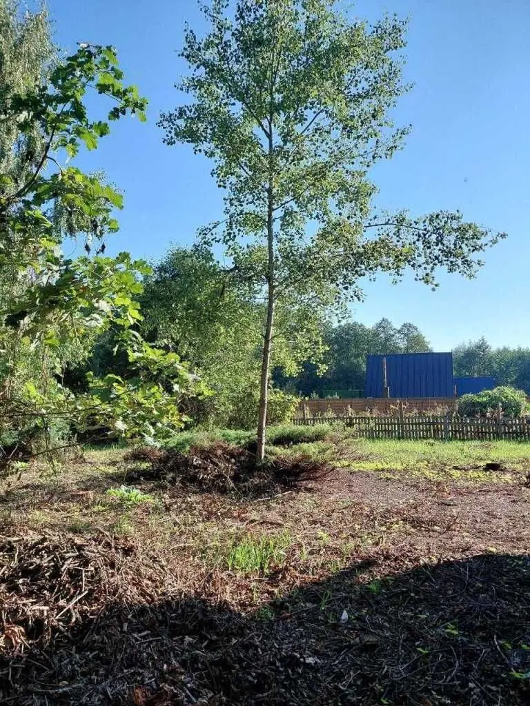 Фото Продаю земельну ділянку, Гаразджа, ціна: 35000 USD, код 9119