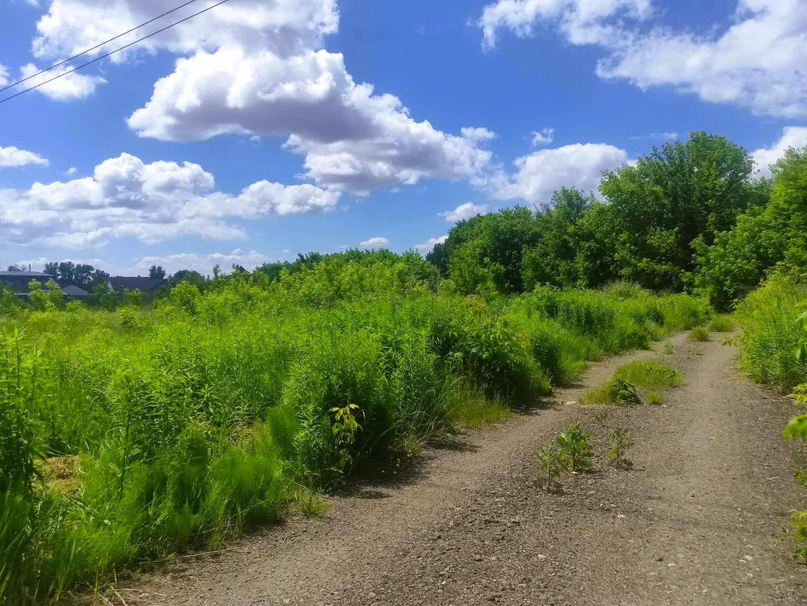 Фото Продаю земельну ділянку, Погреби, ціна: 42048 $, код 9367